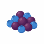 Acai Blueberry Fusion